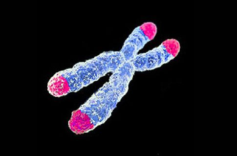 Η μείζων κατάθλιψη «επιταχύνει τη γήρανση»