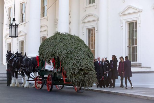 Γιορτινό «special delivery» στο Λευκό Οίκο