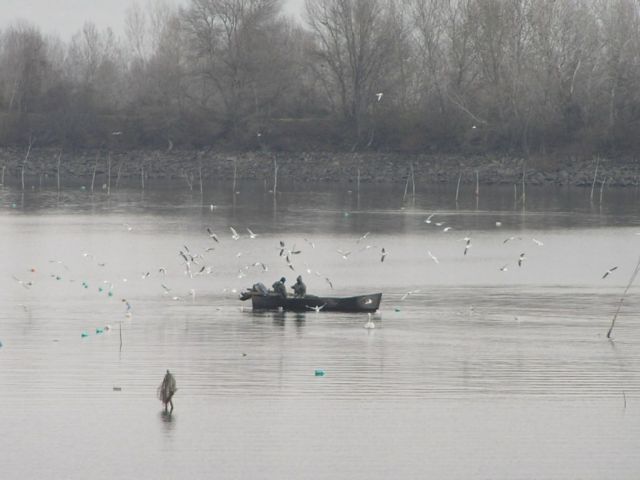 Έρευνες για αγνοούμενο ψαρά στην Κερκίνη