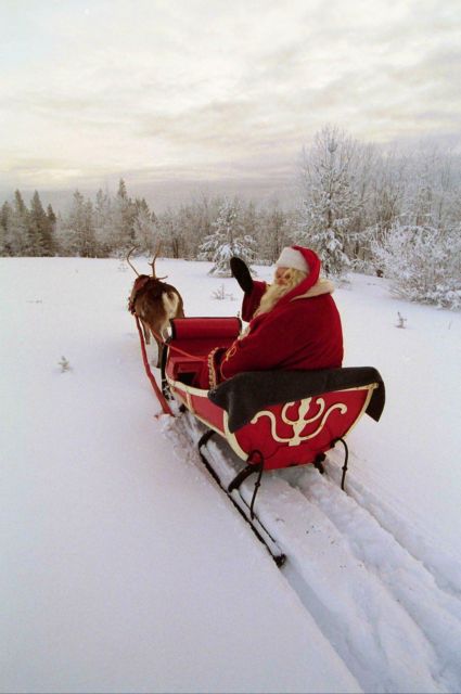 Τάρανδος εγκαταλείπει τον Άγιο Βασίλη σε εμπορικό κέντρο στο Κολοράντο