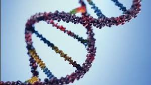 Τεστ επιτρέπει την πλήρη διάκριση του DNA των ομοζυγωτικών διδύμων