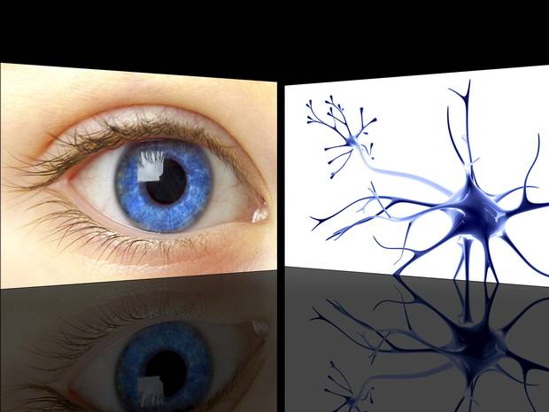 Εκτυπωμένα οφθαλμικά κύτταρα δημιουργούν ελπίδες θεραπείας της τύφλωσης
