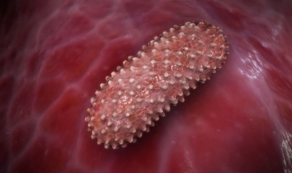 Για επανεμφάνιση της πανούκλας στο μέλλον, προειδοποιούν οι επιστήμονες