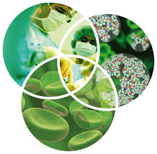 Η Νανοϊατρική «γεννά» μεγάλες προσδοκίες για τη θεραπεία του καρκίνου