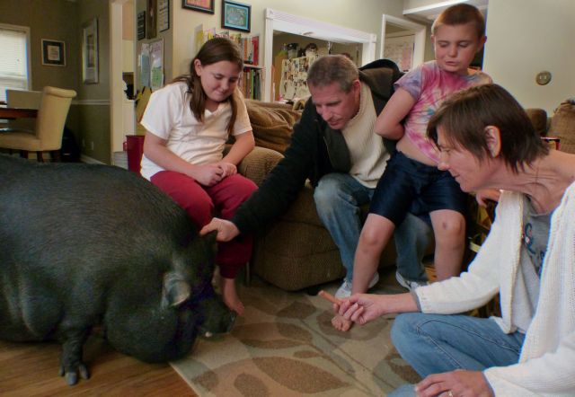 O άκαρδος Δήμος θέλει να πάρει το «γουρουνάκι» οικογένειας στη Φλόριντα