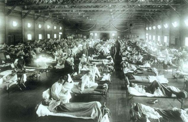 Tα πτηνά, και όχι οι χοίροι, πηγή της πανδημίας γρίπης το 1918