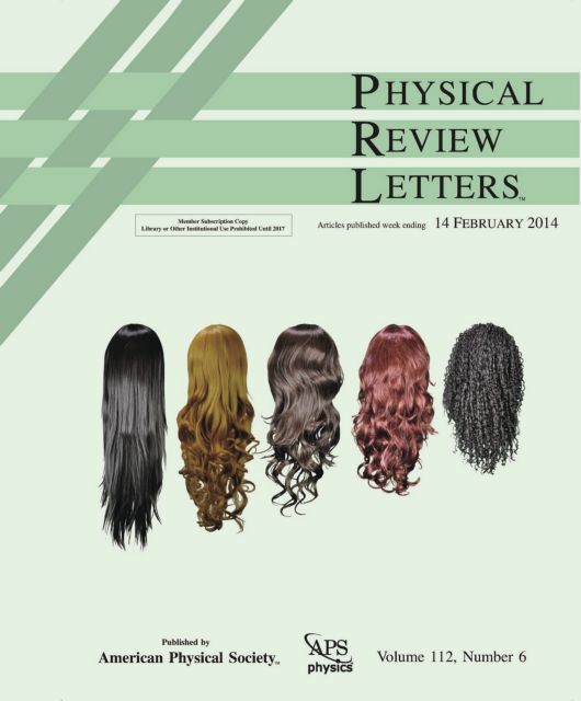 Το πρώτο μαθηματικό μοντέλο μιας τρίχας κατσαρής