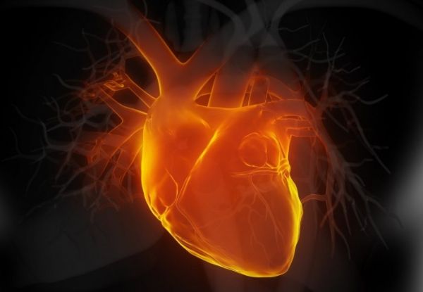 Η μεγαλύτερη δοκιμή βλαστικών κυττάρων για την καρδιά
