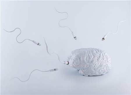 Υπογονιμότητα: για όλα «φταίει» ο εγκέφαλος!