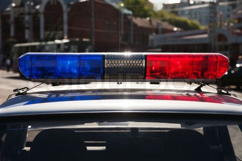 Πανικόβλητοι ιάπωνες τουρίστες σε καταδίωξη από αμερικανικά περιπολικά