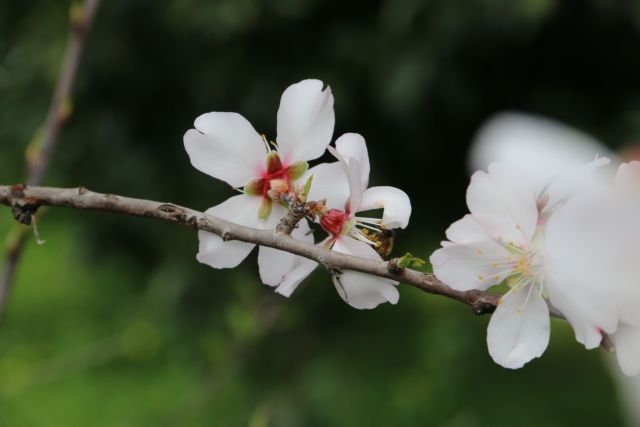 Αίθριος καιρός το Σαββατοκύριακο σε όλη τη χώρα