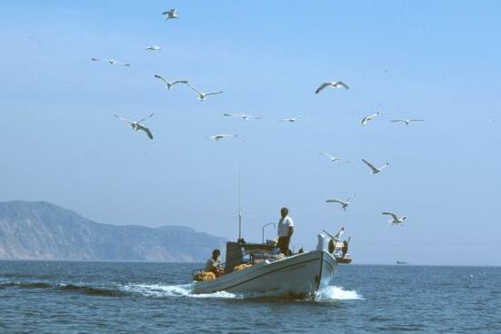 Εξίσωση ψαράδων με τους αγρότες του ειδικού καθεστώτος ΦΠΑ