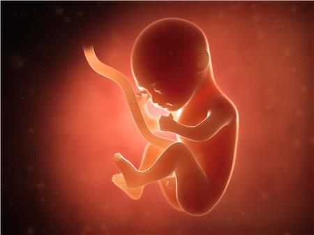 Τι πιστεύουν τα παιδιά για την ζωή πριν... γεννηθούν;
