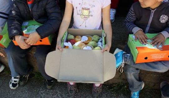 Ξεκινά την Τρίτη η δωρεάν διανομή φρούτων σε μαθητές της Αττικής