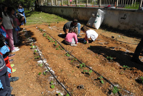Σε λαχανόκηπους μετατρέπει τις σχολικές αυλές το πρόγραμμα Παιδειατροφή