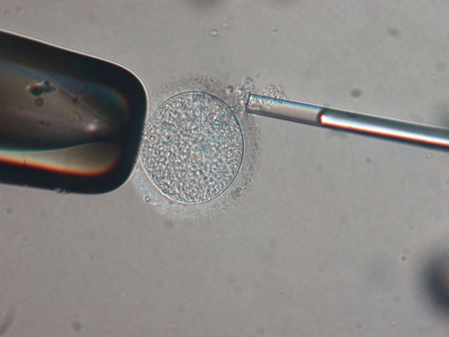 Αίρεται η ιταλική απαγόρευση στη δωρεά σπέρματος και ωαρίων