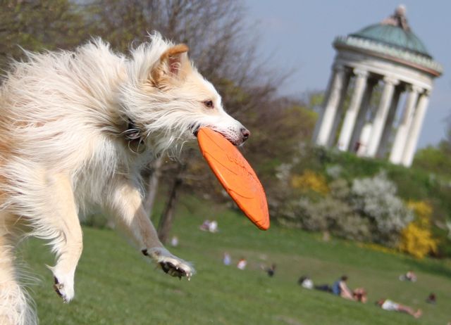 O γυμνισμός είναι λίγο πιο ελεύθερος στο κέντρο του Μονάχου