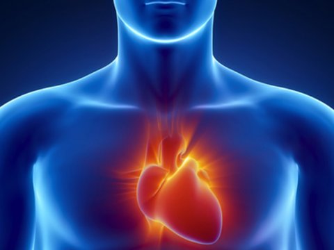 Εφικτή η μερική αποκατάσταση της καρδιακής βλάβης με βλαστικά κύτταρα