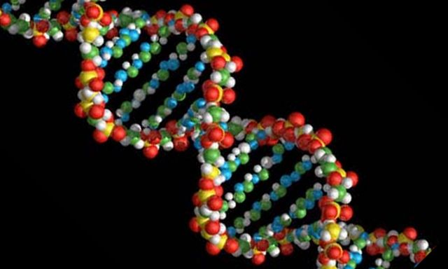 Ημι-συνθετικός οργανισμός έχει «εξωγήινο» DNA