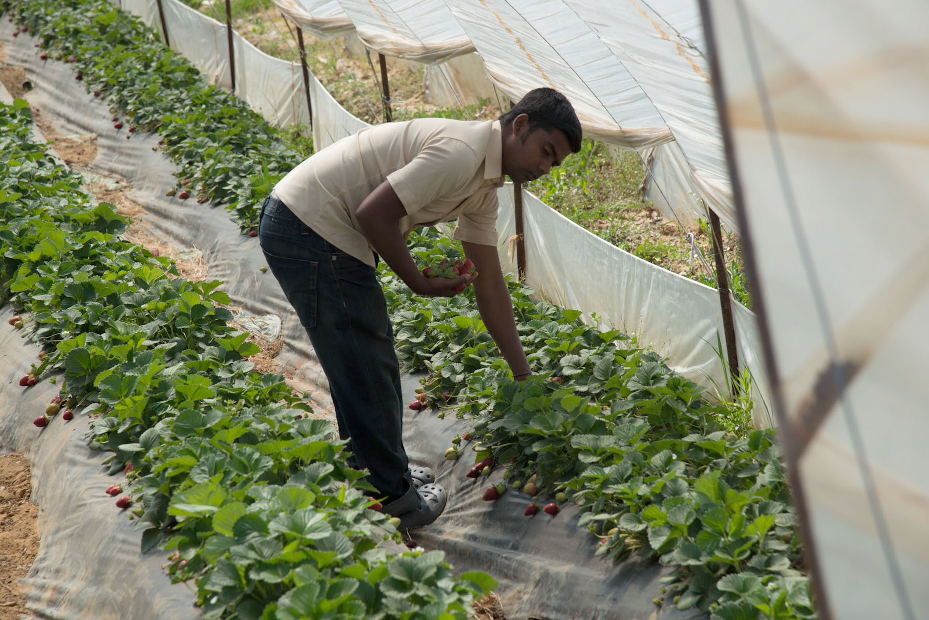 Έλεγχοι για παράνομη εργασία σε περιοχές της Δυτικής Ελλάδας