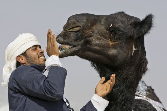 Το MERS «όντως μεταδίδεται από τις καμήλες»