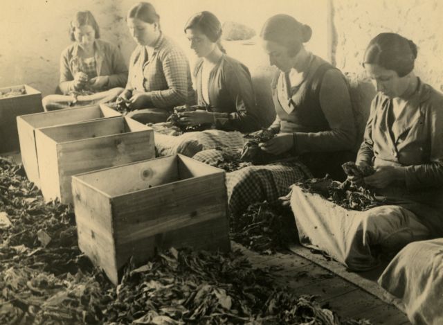 Έκθεση για τα ανατολικά καπνά στο Μουσείο Μπενάκη