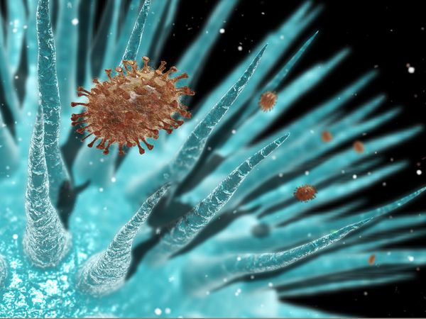 Επιστημονική ανησυχία από την εργαστηριακή αναβίωση της «ισπανικής γρίπης»