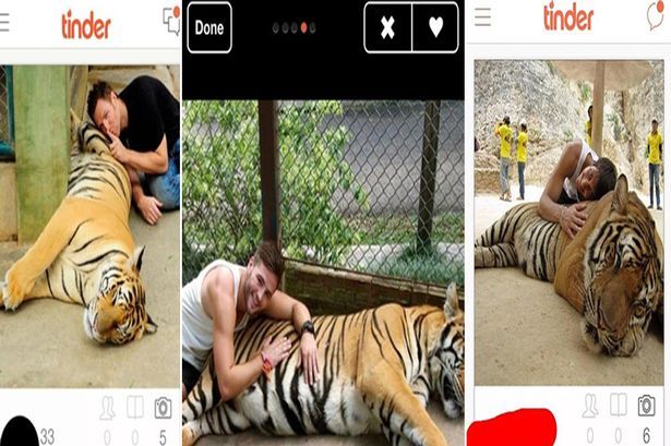 Η Νέα Υόρκη θέλει να μπλοκάρει τις «selfies» με τίγρεις