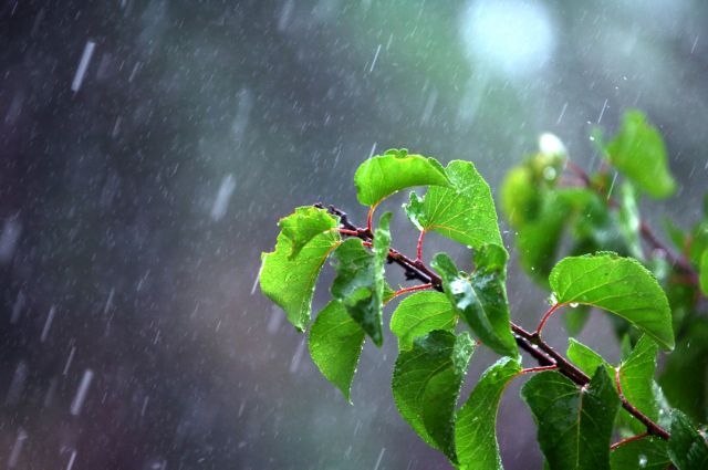 Kαι από καύσωνα… χαλάζι