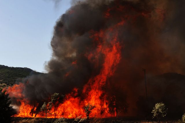 Πυρκαγιά στη Μαλεσίνα, φωτιά και στο Ποικίλο Όρος