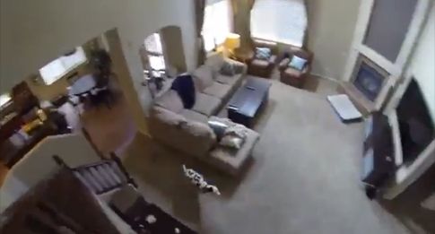 Η αστεία συνήθεια του Όλι μετά το μπάνιο…