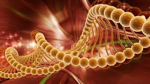 Ανακαλύφθηκε γονίδιο που αυξάνει τον κίνδυνο εγκεφαλικού επεισοδίου και εμφράγματος