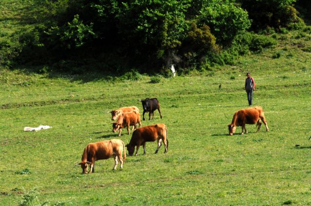 Καταβολή ενισχύσεων 32,2 εκατ. ευρώ σε γεωργούς και κτηνοτρόφους