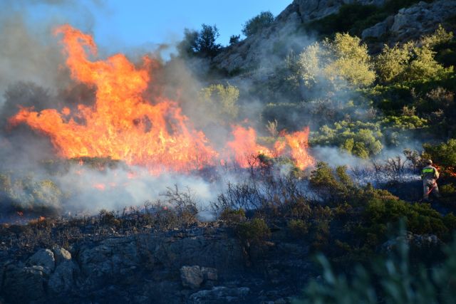 Υπό μερικό έλεγχο η φωτιά στην Πύλο, σε ύφεση η πυρκαγιά στην Υλίκη