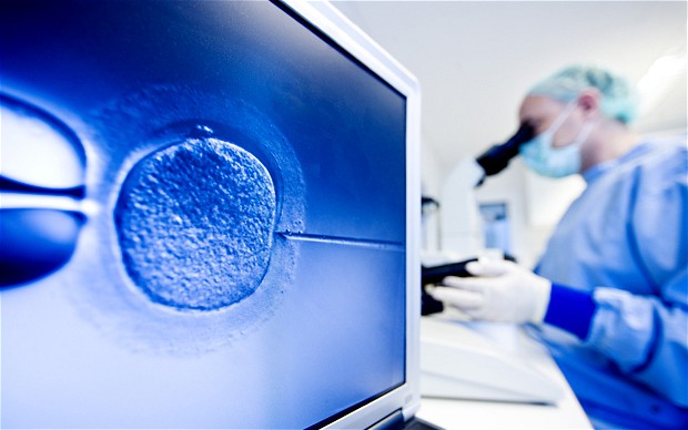 Νέα μέθοδος διέγερσης των ωοθηκών καθιστά πιο ασφαλή την εξωσωματική γονιμοποίηση