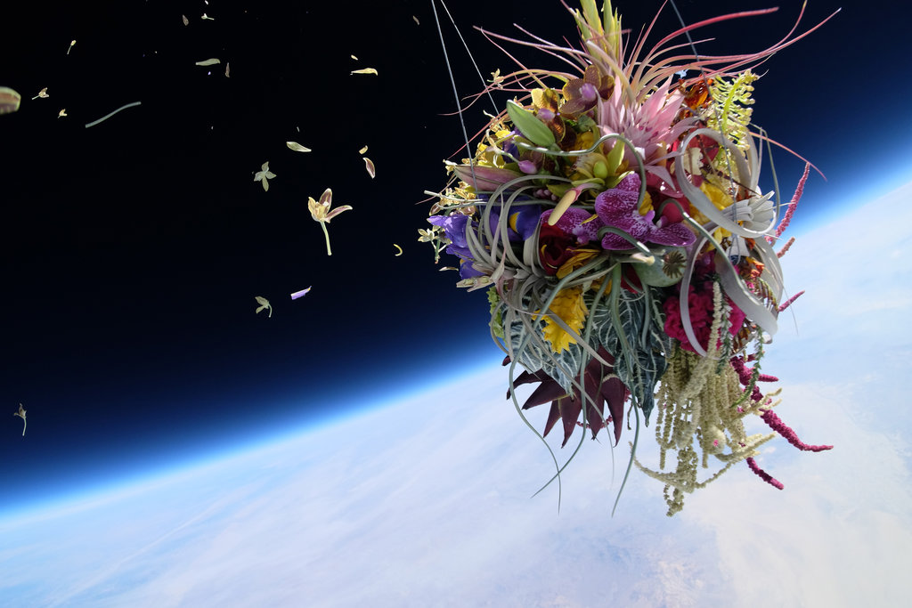 Μπονζάι και λουλούδια εκτοξεύονται στο Διάστημα ως τέχνη