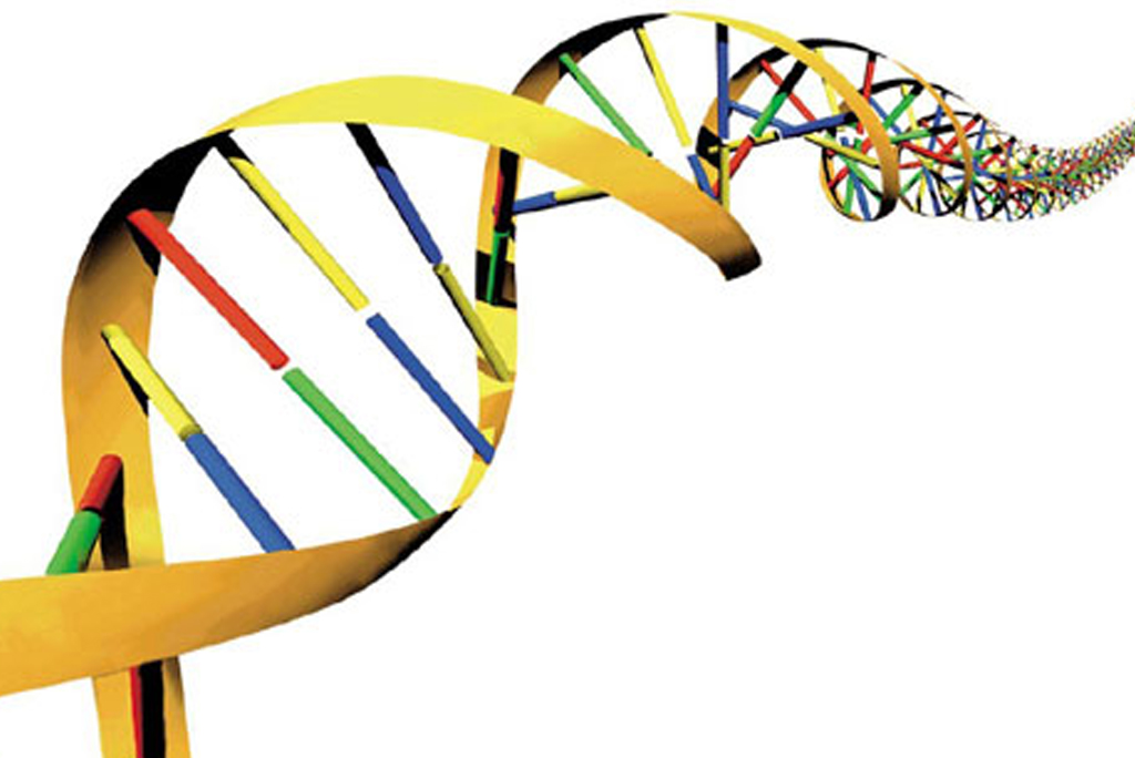 Μόνο το 8,2% του ανθρώπινου DNA είναι λειτουργικό υποστηρίζουν οι επιστήμονες