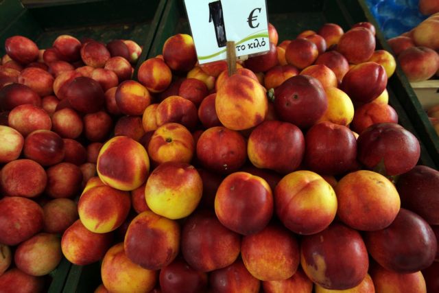 Γύρω στα 50 εκατ. η ζημιά από το ρωσικό εμπάργκο εκτιμά η κυβέρνηση