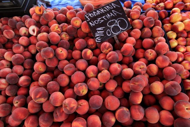 Αντιπαράθεση ΠΑΣΟΚ – ΣΥΡΙΖΑ με αφορμή το ρωσικό εμπάργκο