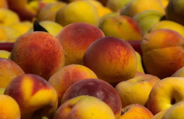 Στο αρμόδιο υπουργείο τα στοιχεία για αποτίμηση της ζημιάς στο ροδάκινο