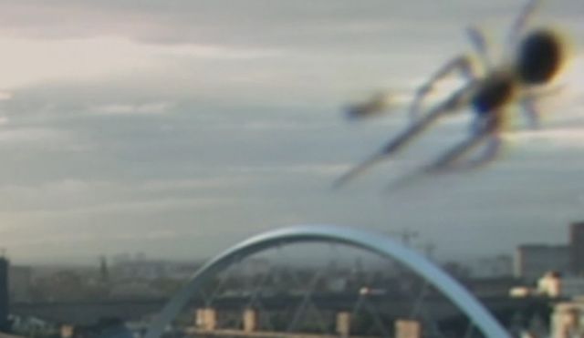 «Γιγαντιαία» αράχνη κάνει photo bombing σε παρουσιαστή του BBC