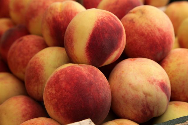 Στις 22 Αυγούστου θα ανακοινώσει η ΕΕ τα μέτρα για τους ροδακινοπαραγωγούς