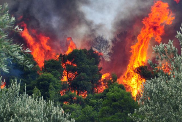 Πυρκαγιές σε Καλαμπάκα και Βοιωτία