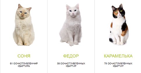 Δώρο μια γάτα για κάθε ενυπόθηκο δάνειο δίνει ρωσική τράπεζα