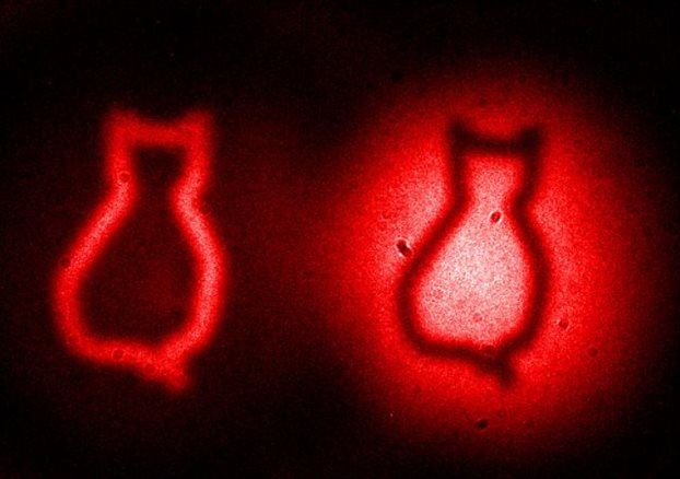 Η γάτα του Σρέντινγκερ σε κβαντικό «ενσταντανέ»