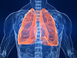 Μελέτη για τη συνδυαστική χορήγηση Pembrolizumab και Crizotinib κατά του καρκίνου του πνεύμονα
