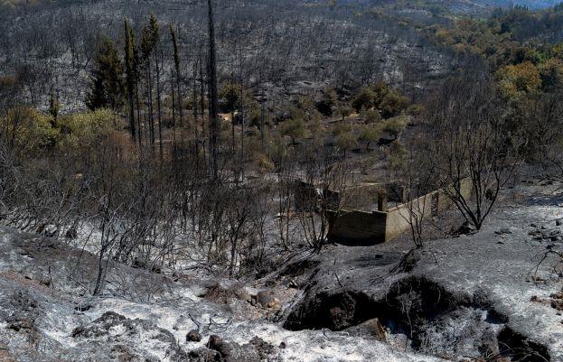 Μικρές οι ζημιές στον αρχαιολογικό χώρο της Αρχαίας Μεσσήνης από τη φωτιά