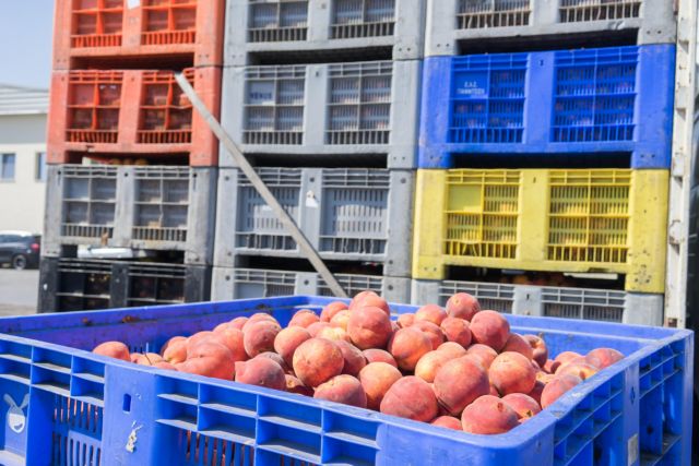 Πρόσθετα μετρα ανακούφισης των αγροτών από το ρωσικό εμπάργκο μελετά η ΕΕ