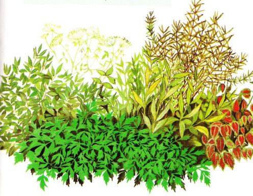 Ημερίδα για «Τα Αρωματικά και Φαρμακευτικά φυτά ως μοχλός Αέναης Ανάπτυξης της χώρας»