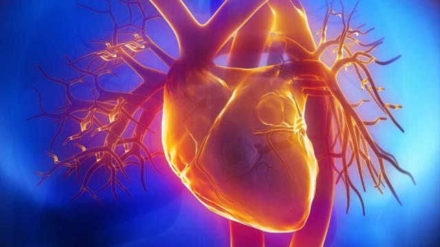 Αναποτελεσματική η ιβαμπραδίνη κατά στηθάγχης και καρδιακής ανεπάρκειας